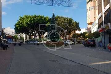 Alumbrado navideño de la plaza de San Juan (Foto TA)